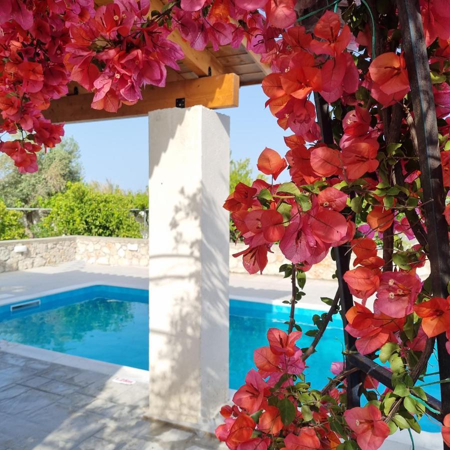 Lianas Garden House Villa อาฟานโท ภายนอก รูปภาพ